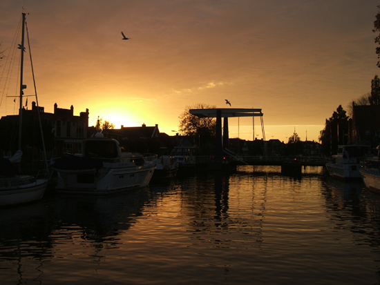 DSCF5391_Lemmer