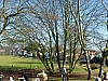 P1050601