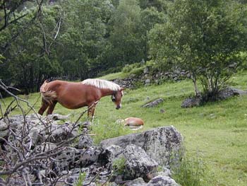 22c_nahe_PORTE_DE_PUYMORENS