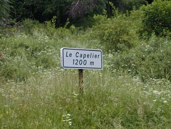 26d_COL