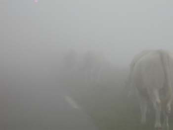 32g_COL-DU-TOURMALET_WO