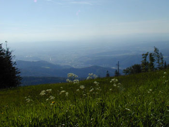 19_blick_vom_kandel_im_glottertal