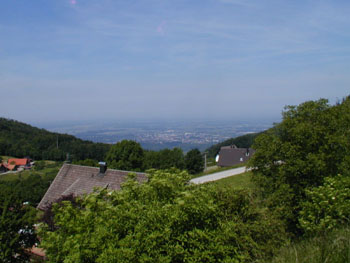 38_im_buehlertal_blick_richtung_frankreich