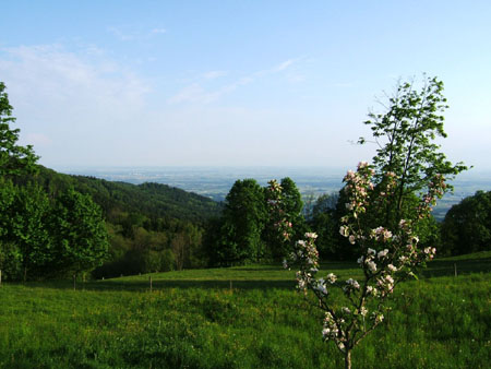 022a_abend1_grandsberg06