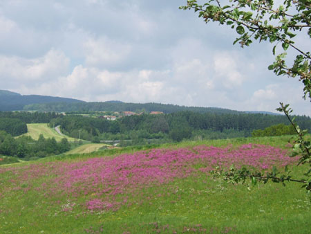 075_tour3_landschaft