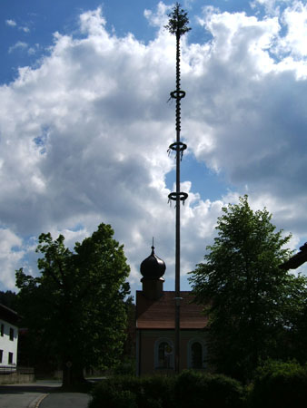 103_tour3_dezenter_maibaum