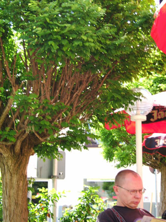 152_tour4_schattensitzer