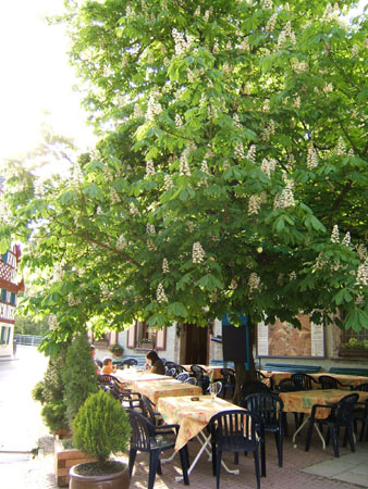 172_abend4_weihersmuehle03