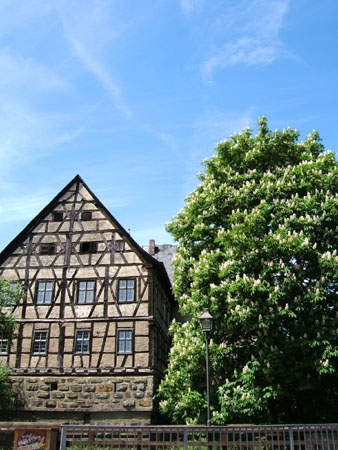 227_tour6_am_wegesrand