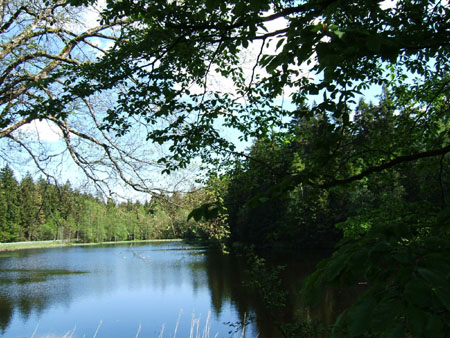 266_tour7_kaffeepause_am_see