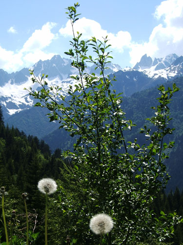 015_alpenpanorama_2