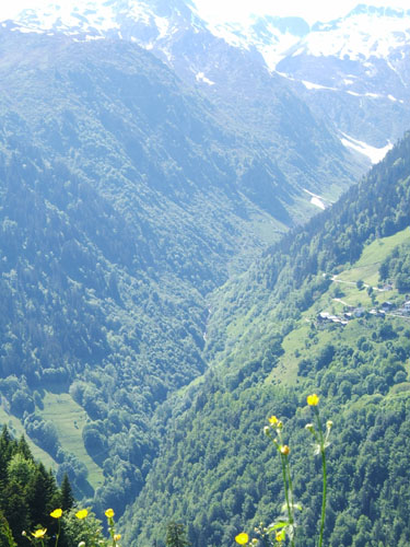 016_alpenpanorama_3