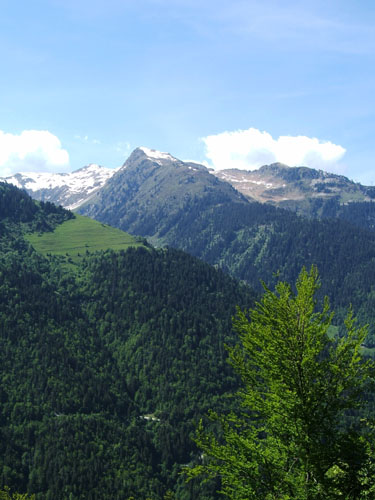 018_alpenpanorama_5