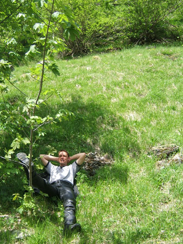 049_tag1_unterm_baum