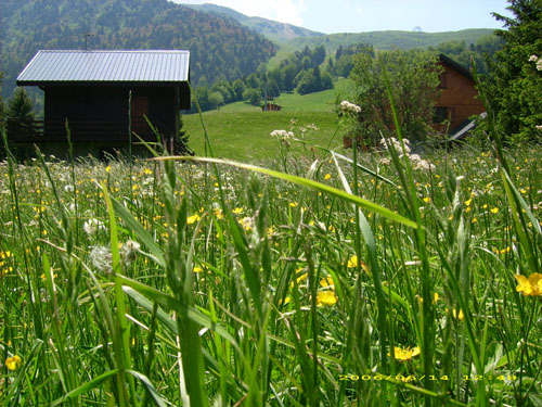 173a_tag5_landschaft_unterwegs