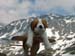 123a_tag3_grosser_st_bernhard_flying_bernie