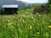 173a_tag5_landschaft_unterwegs