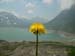 190d_tag5_landschaft