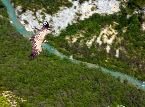 0065z2_Grand_Canyon_Du_Verdon_by_Flickr