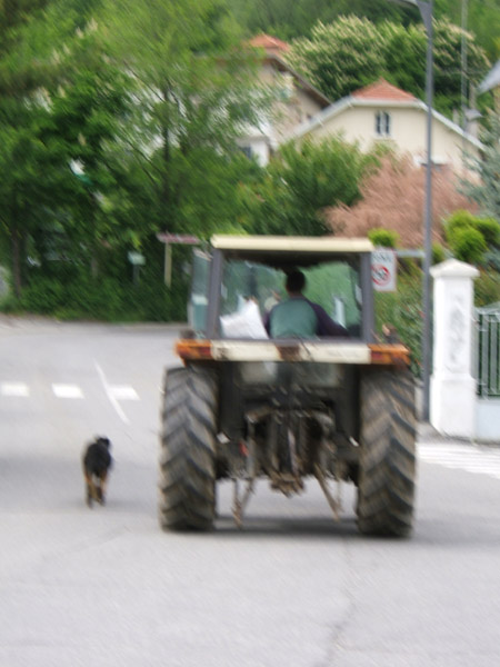 0126_Gassi