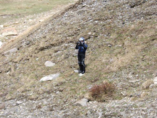 0166c_Bergfroeschchen