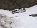 0133a_Col_Bonette