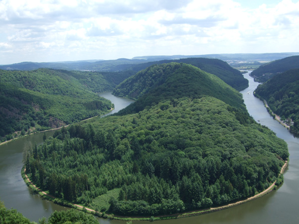 062_DSCF0774