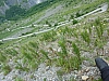 04106_22062011_P1040107_Thommes__Auffahrt_Col_de_Sarenne_nach_Alpe_dHuez