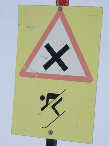 DSCF3911