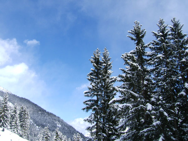 DSCF3998