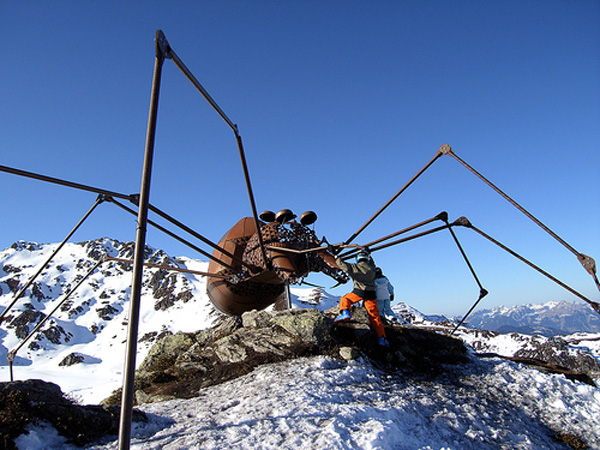 DSCF2433_Spinne_Kuenstergruppe