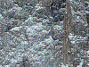 P1020277